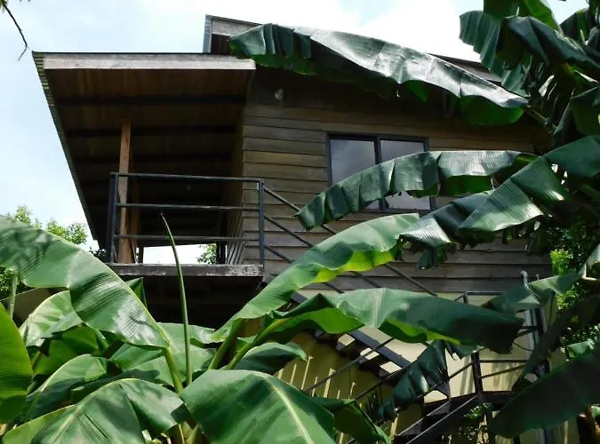 Chill-inn Hostel Nosara