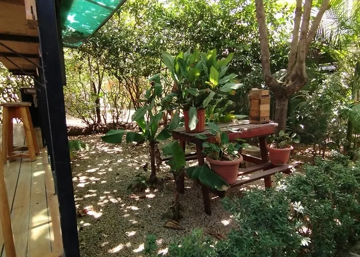 Chill-inn Hostel *