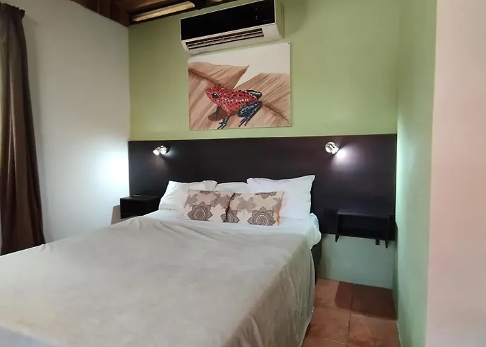 Chill-inn Hostel Nosara